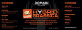 Domain Pounder – Hybrid Brassica Food Plot Seed
