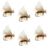 Olive Elk Hair Caddis Classic Trout Dry Fly - Set of 6 Flies Size 14