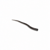 Harpoon