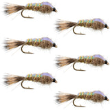 Classic Weighted Flashback Gold Ribbed Hares Ear Nymph - Set of 6 Flies - Size 12