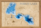 Forest Lake in Washington County, Minnesota