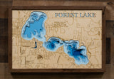 Forest Lake in Washington County, Minnesota