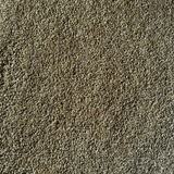 SwitchGrass