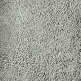 SugarBeets