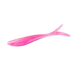 Barracuda