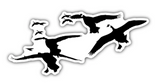 Waterfowl Decals Ultimate 5pc Goose Stickers