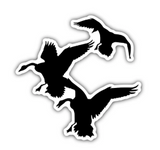 Waterfowl Decals Ultimate 5pc Goose Stickers