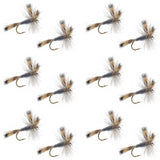 Gray Wulff Classic Trout Dry Fly -12 Flies Hook Size 8
