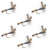 Gray Wulff Classic Trout Dry Fly - 6 Flies Hook Size 12