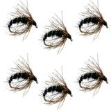 Black Holy Grail Caddis Pupa Emerger 6 Flies Hook Size 14