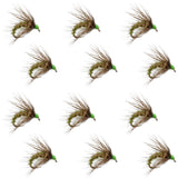 Olive Holy Grail Caddis Pupa Emerger 12 Flies Hook Size 14