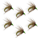 Olive Holy Grail Caddis Pupa Emerger 6 Flies Hook Size 16