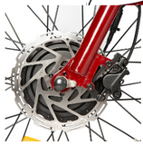 New Trike 2.0