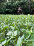 Motherload™ Food Plot Seed