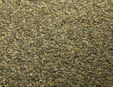 RC Sundance Switchgrass Habitat Seed