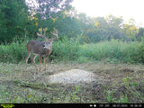 Pre-Game™ Deer Feed