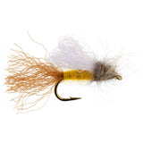 3 Pack Amber Iris Caddis Emerger Caddis  Trout Dry Fly - Hook Size 16
