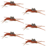 Tungsten Bead Kaufmann's Brown Stone Fly with Rubber Legs - Stonefly Wet Fly - 6 Flies Hook Size 6