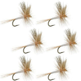 Light Cahill Classic Trout Dry Fly Fishing Flies - 6 Flies Size 20