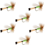 Lime Trude Classic Hair Wing Dry Fly - 6 Flies Hook Size 16