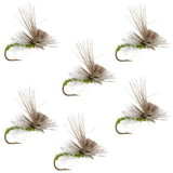 Green Drake Missing Link Mayfly Flies Hook 6 Flies Size 10