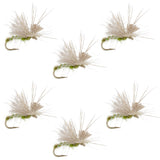 Olive Missing Link Caddis or Mayfly Flies Hook 6 Flies Size 18