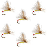 Yellow Sally Missing Link Stonefly - 6 Flies Hook Size 16