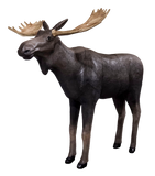 Real Wild 3D Yukon Moose