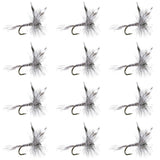 Mosquito Classic Trout Dry Fly Fishing Flies - 1 Dozen Size 10