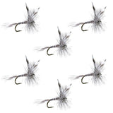 Mosquito Classic Trout Dry Fly - Set of 6 Flies Size 20