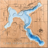 Nebagamon Lake in Douglas County, Wisconsin