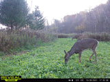 No BS™ Food Plot Seed