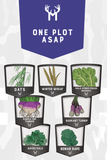 One Plot ASAP