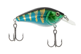 Primetyme CB 1.5