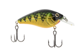 Primetyme CB 1.5