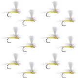 Pale Morning Dun Parachute PMD Classic Dry Fly - 1 Dozen Flies Hook Size 14