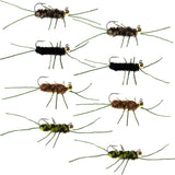 Tungsten Bead Jigged Pat's Rubber Legs Euro Nymph Assortment Fly Fishing Flies - Trout and Bass Wet Fly Pattern - 8 Flies Hook Size 10