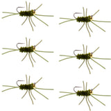 Barbless Pat's Rubber Legs Tungsten Bead Jigged Dark Olive Euro Nymph  - Set of 6 Flies Hook Size 10