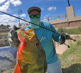 Ultra Light Fishing Rod Kistler