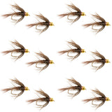 Soft Hackle Bead Head Pheasant Tail Nymph Fly - 12 Flies Size 12