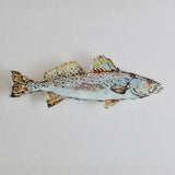 Speckled Sea Trout Acrylic Wall Contour