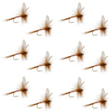 Pink Lady Classic Dry Fly - 12 Flies Size 18