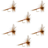 Pink Lady Classic Dry Fly - 6 Flies Size 14