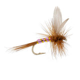 Pink Lady Classic Dry Fly - 6 Flies Size 14