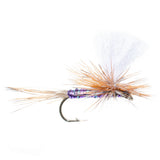 Parachute Super Flash Purple Haze Dry Fly - 6 Flies Size 14