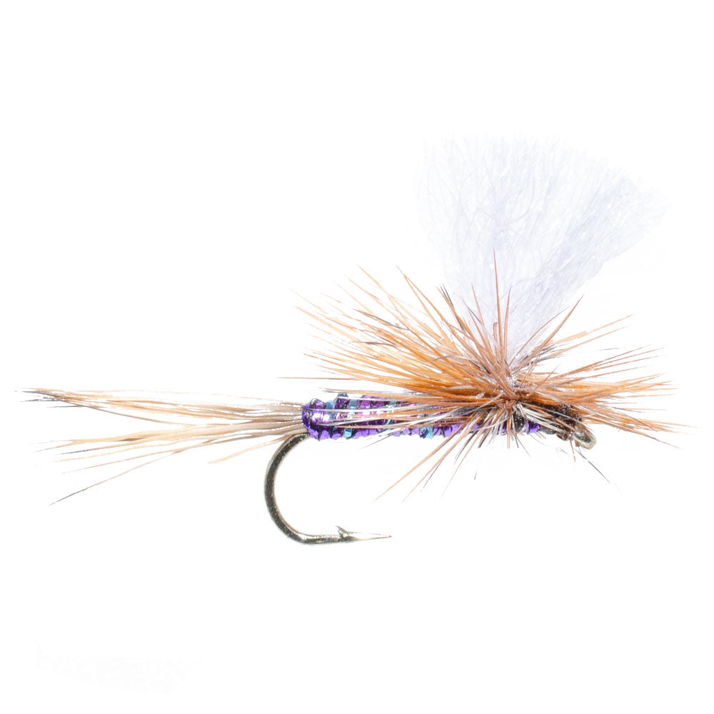 Parachute Super Flash Purple Haze Dry Fly - 12 Flies Size 18 – Ice ...