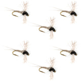 Z-Lon Wing Trico Spinner Kapok Body Hook 6 Flies Size 24
