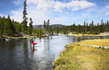 Tan Elk Hair Caddis Classic Trout Dry Fly - 12 Flies Size 12