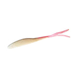 Barracuda