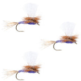 3 Pack Parachute Purple Haze Dry Fly - Size 12